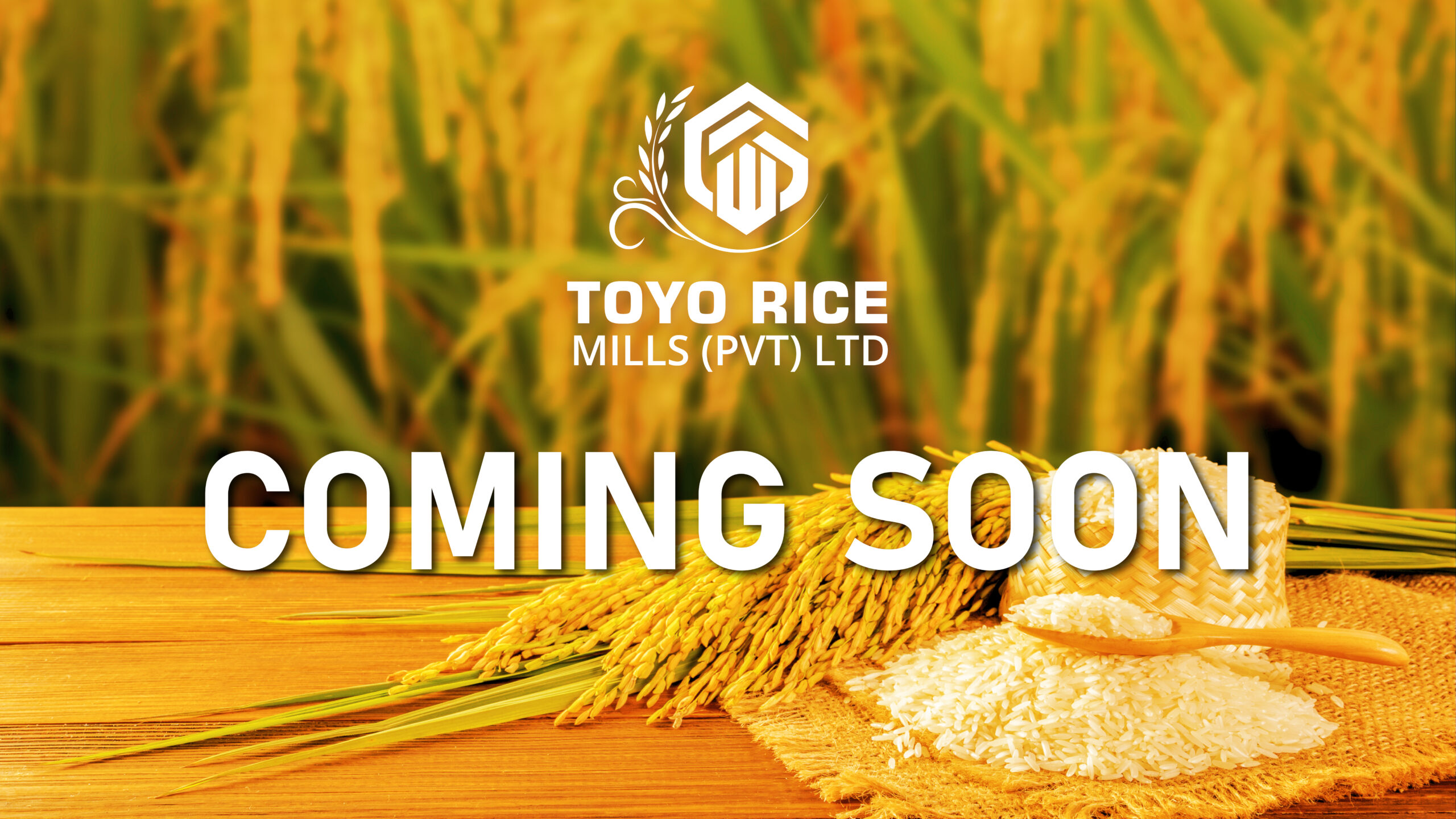 toyo Rice